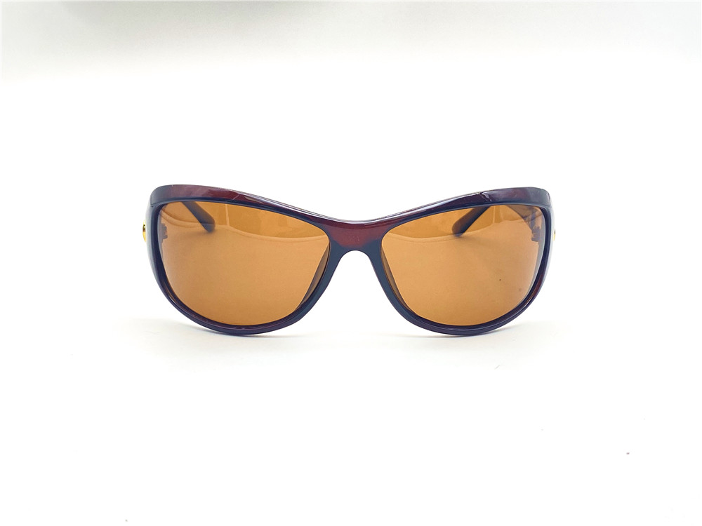  Солнцезащитные очки картинка 2025 Женские Alisi Polarized Классические P2004-C8-32 